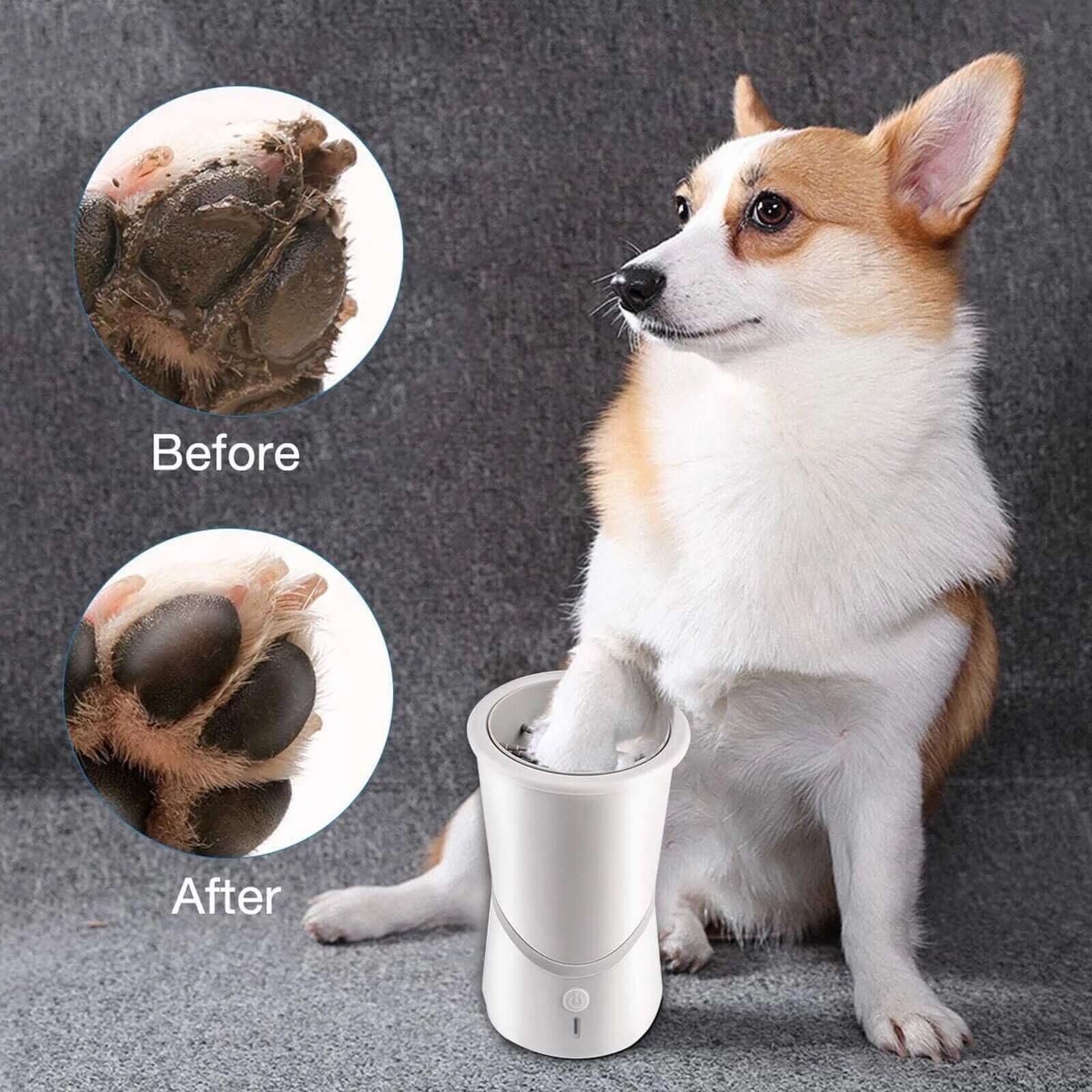 Advanced Dog Gear & Grooming | LoyalPaws